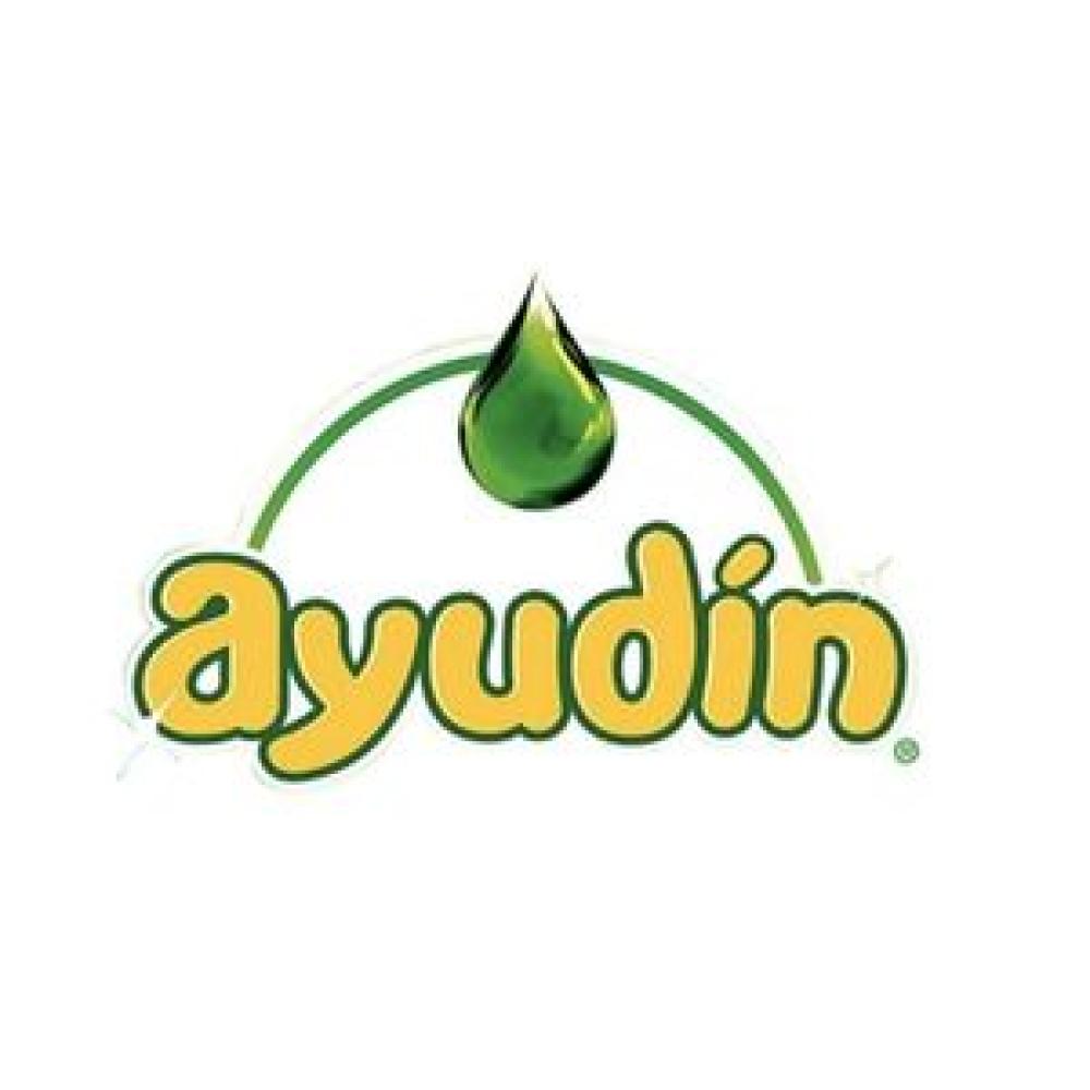 AYUDIN